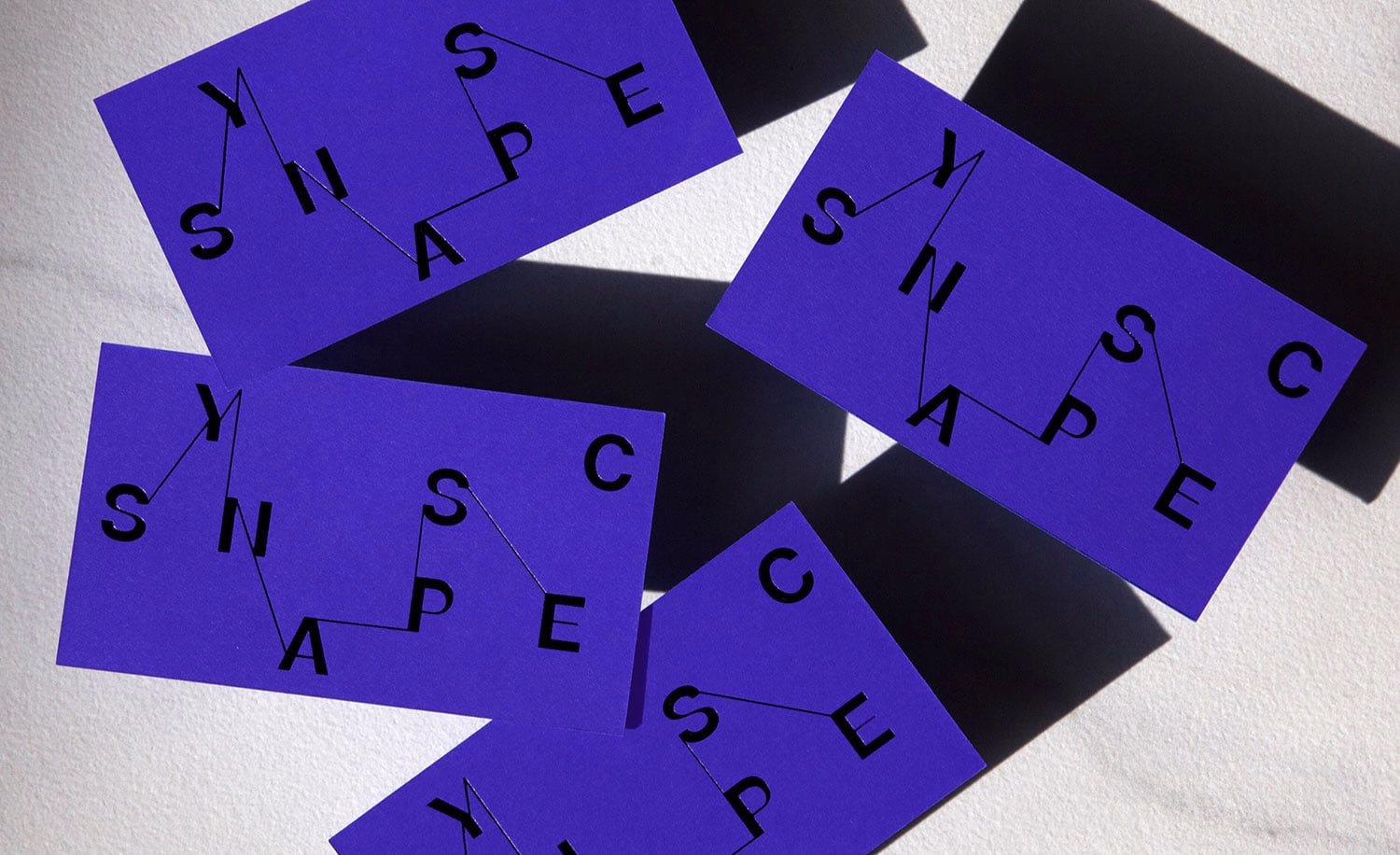 Synapse C Branding cover image