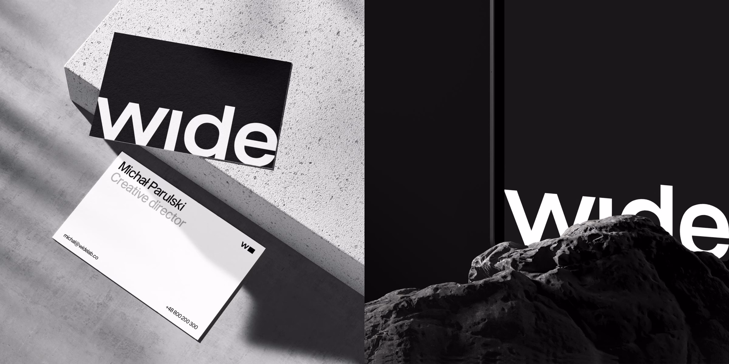 Widelab cover image