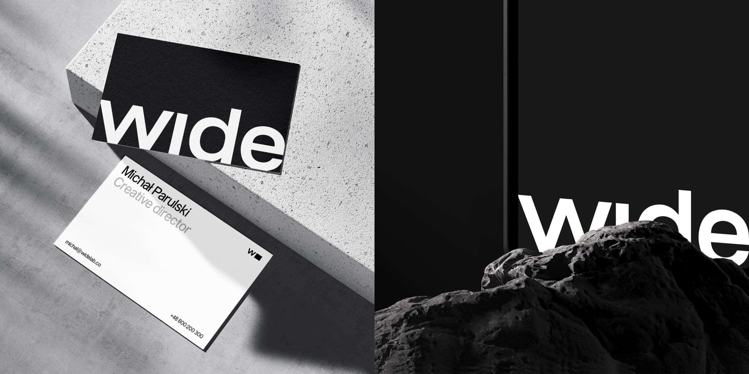 Widelab cover image