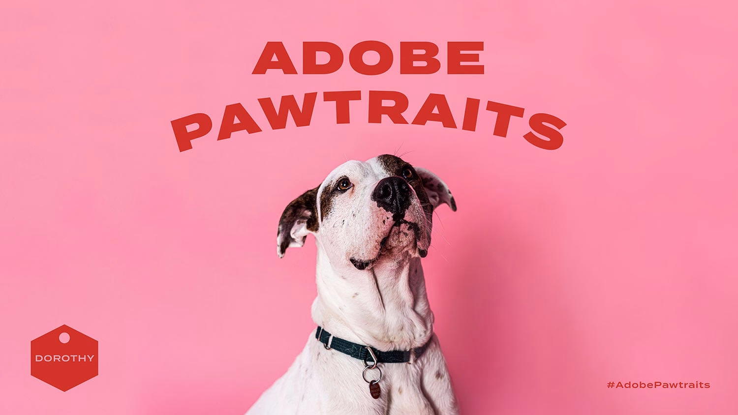 Adobe Pawtraits cover image
