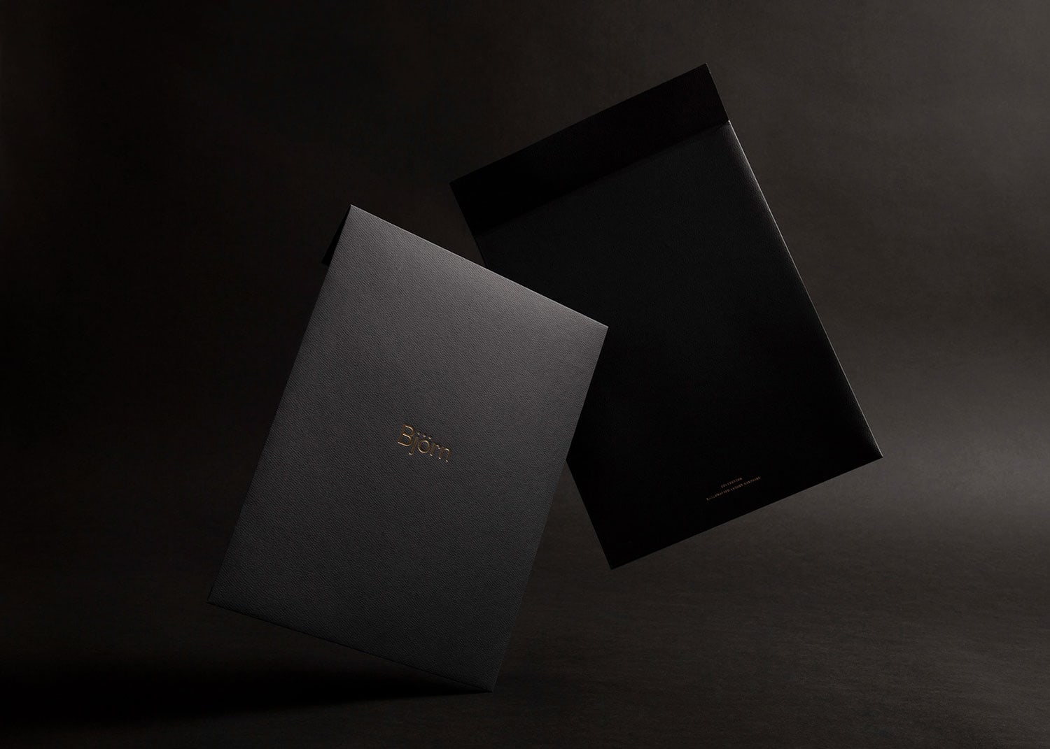 Björn Corporate Design cover image