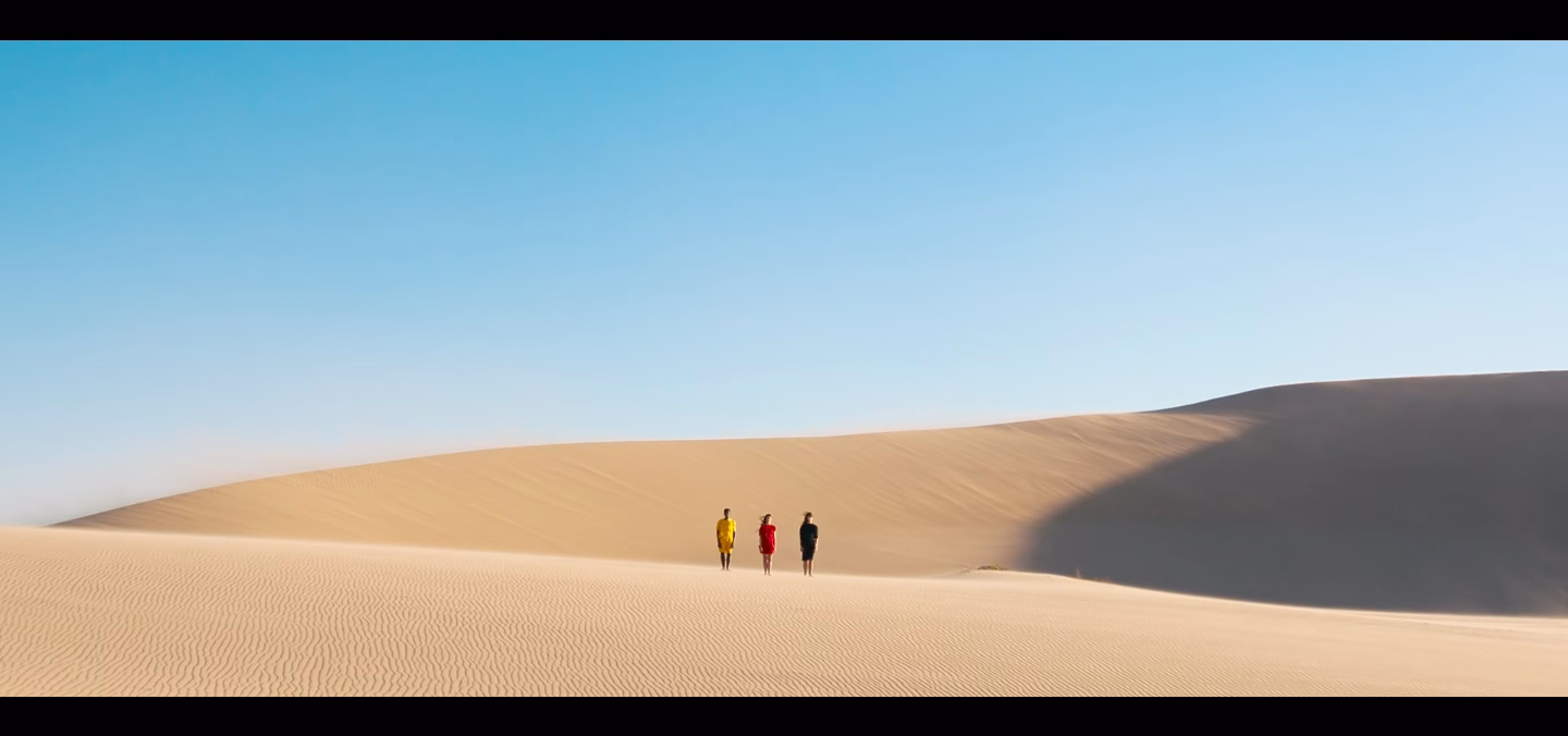 Time flies cover image