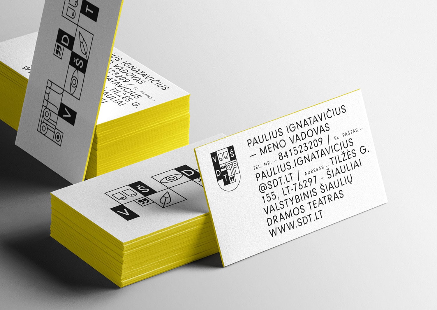 Šiauliai Drama Theater Branding cover image