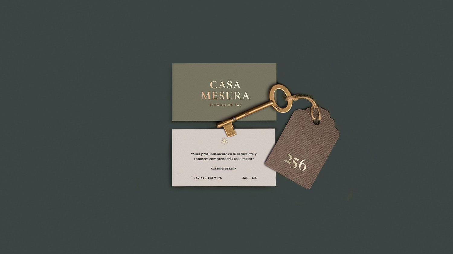 Casa Mesura Identity cover image