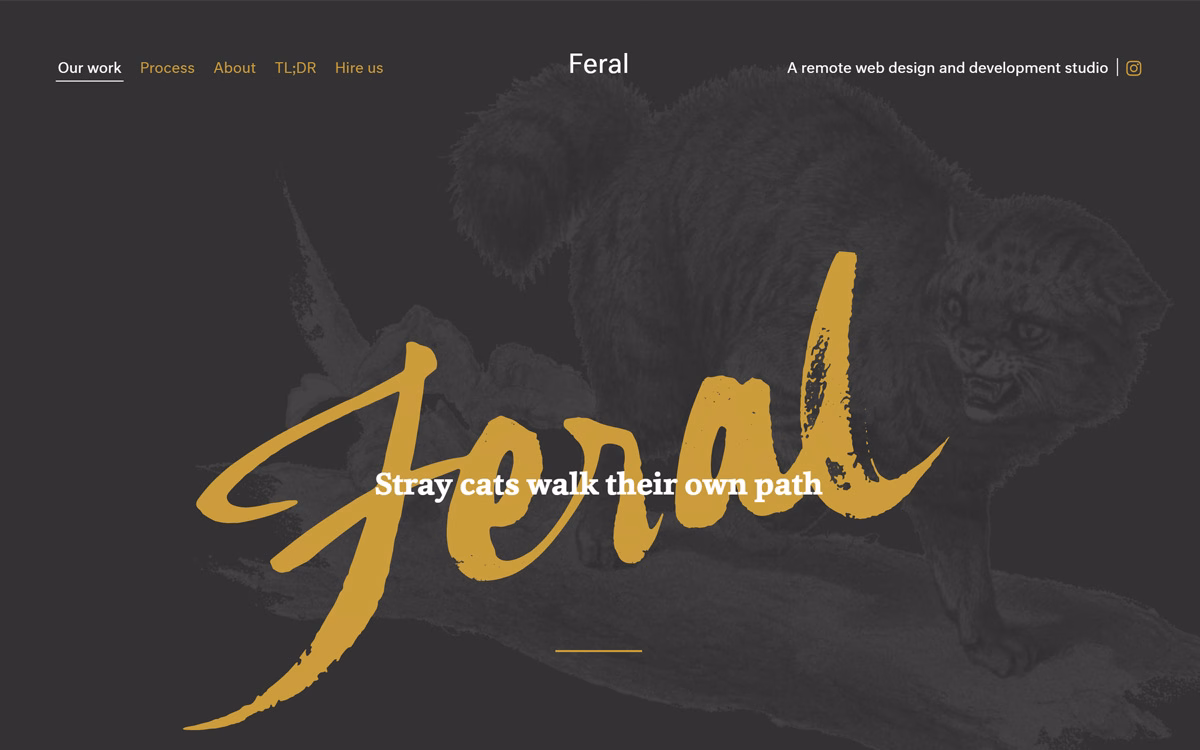 Feral cover image