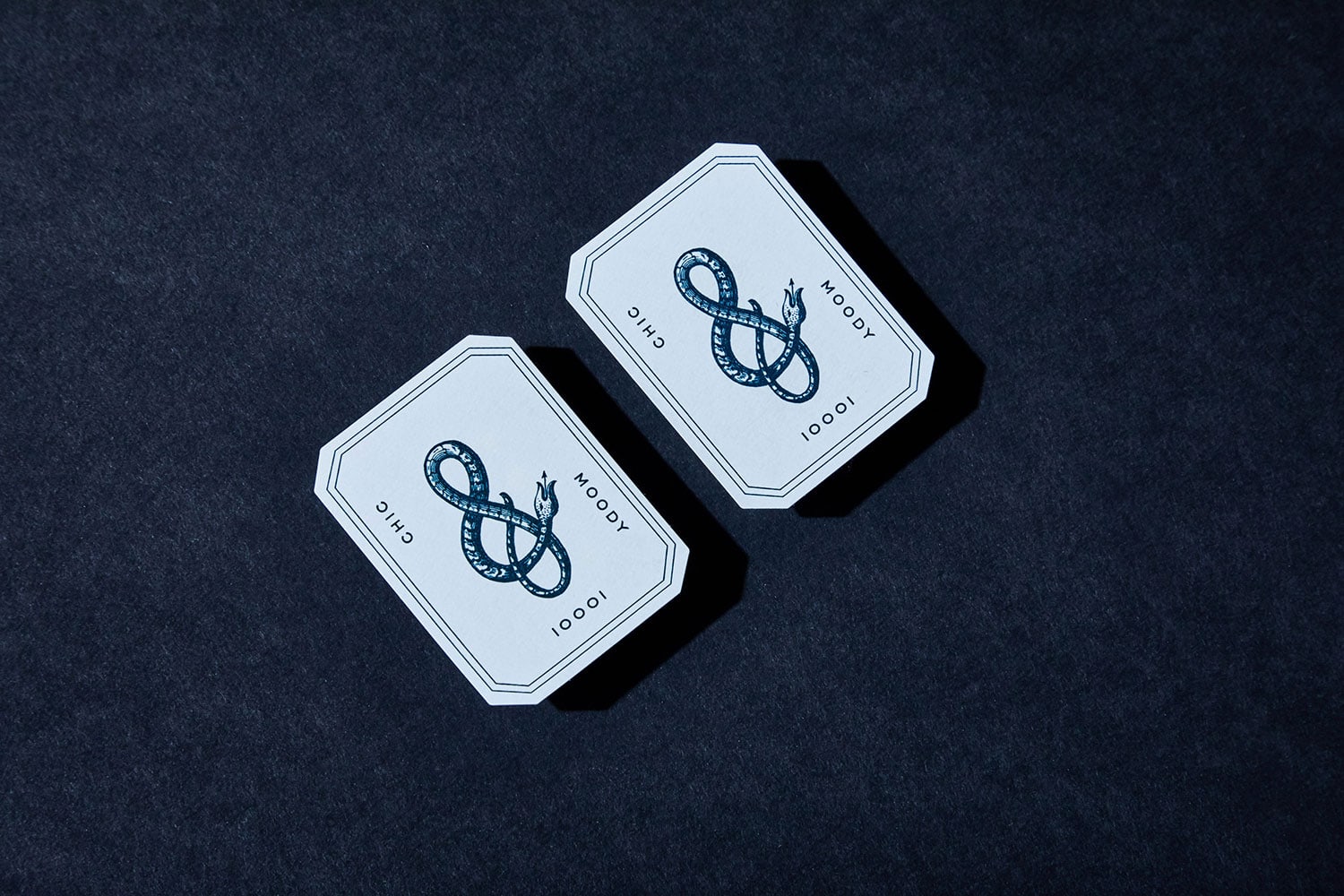 Homie Identity cover image