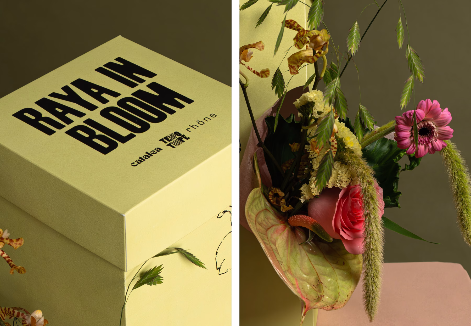 Raya in Bloom cover image