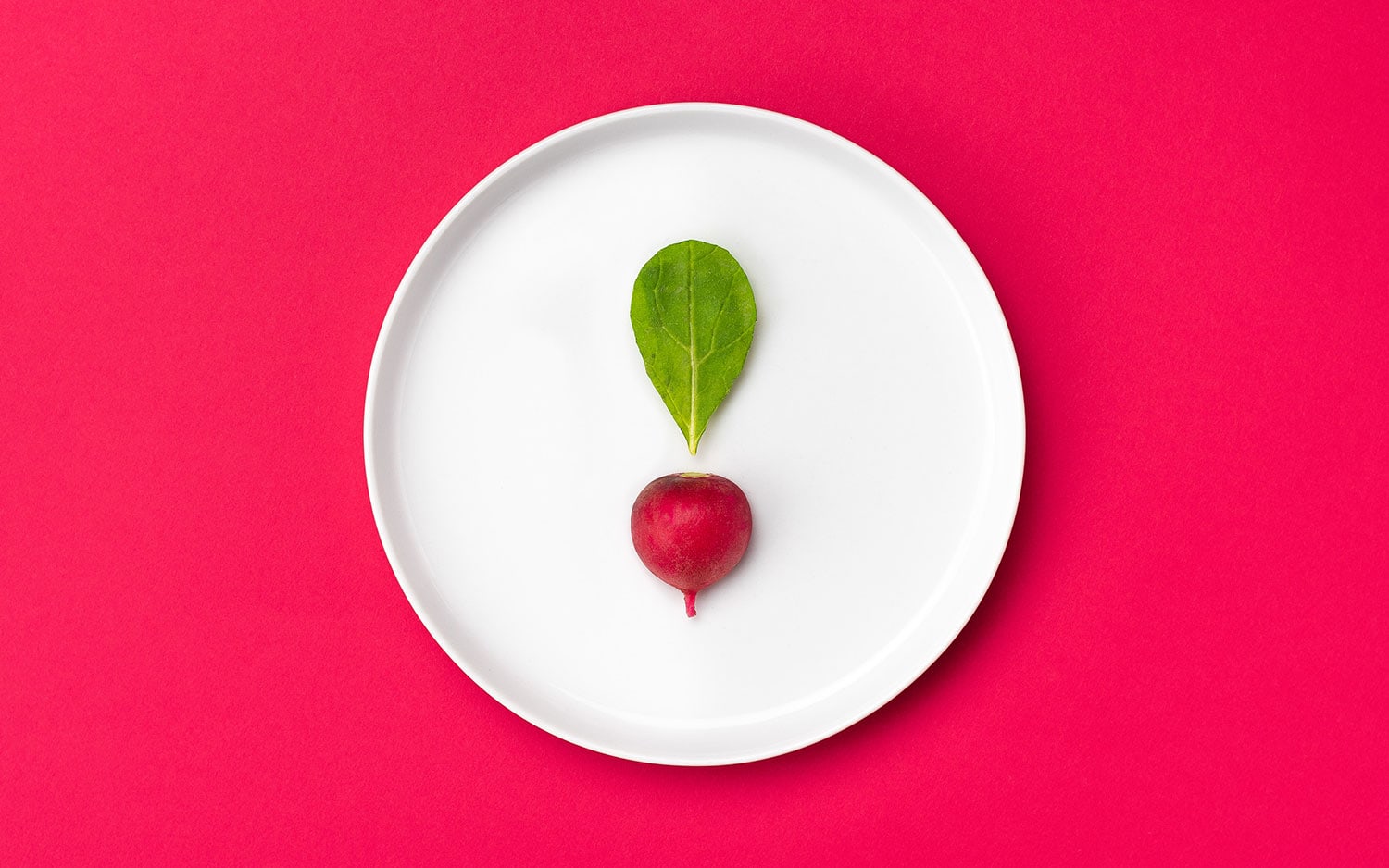 The Spicy Radish cover image