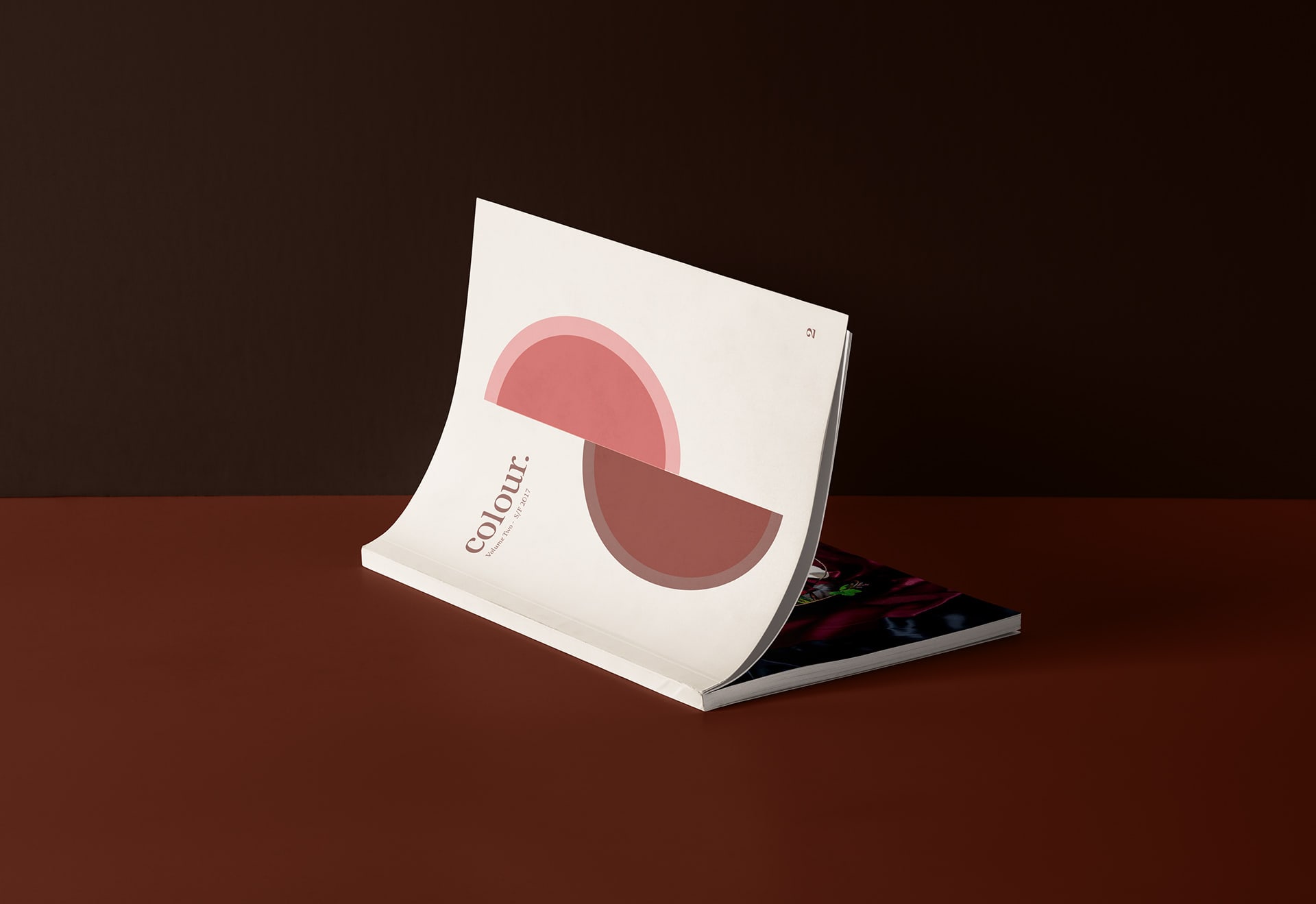 Colour publication cover image