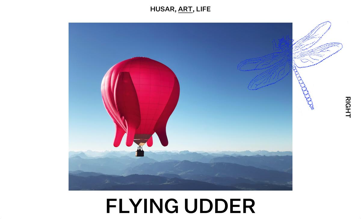 Barbara Anna Husar cover image