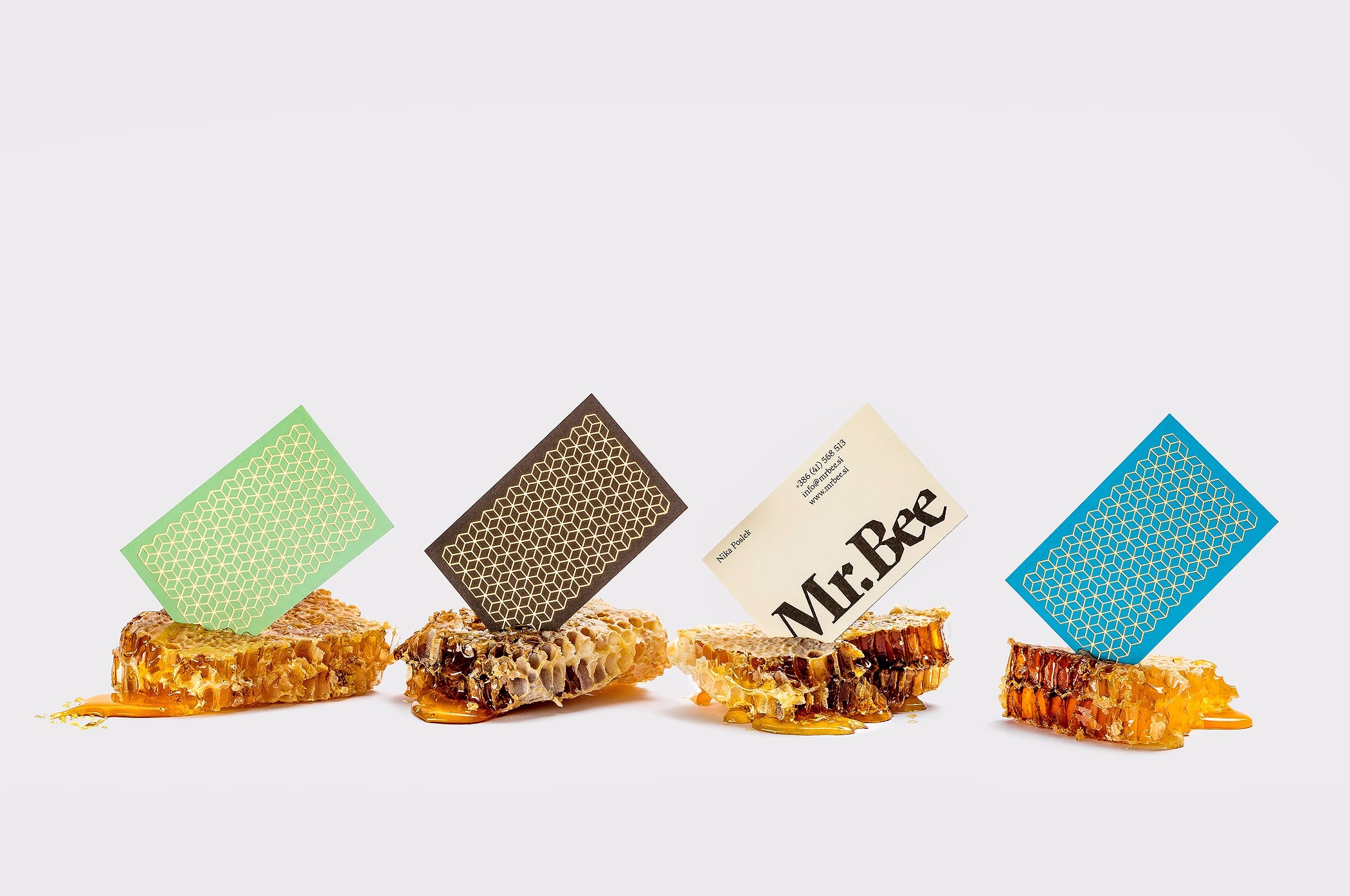 Mr.Bee cover image