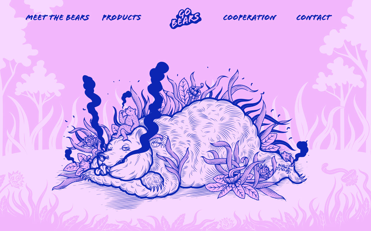 Go Bears Identity cover image