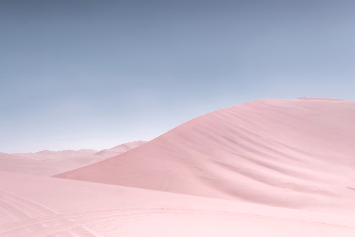 Powder. Photography cover image