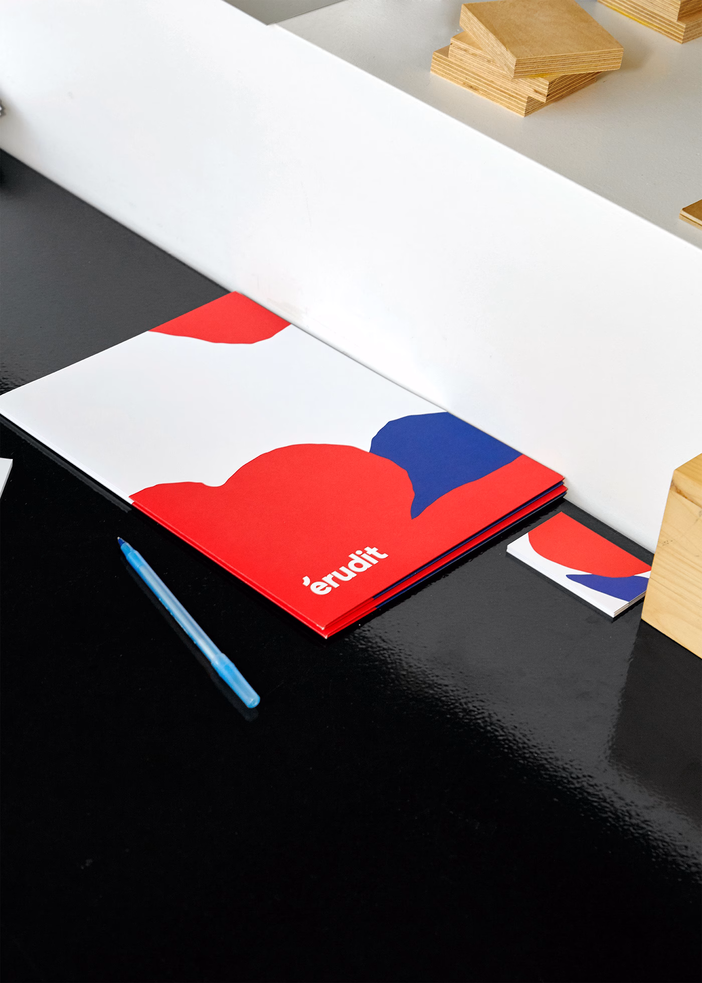 Érudit Corporate Design cover image