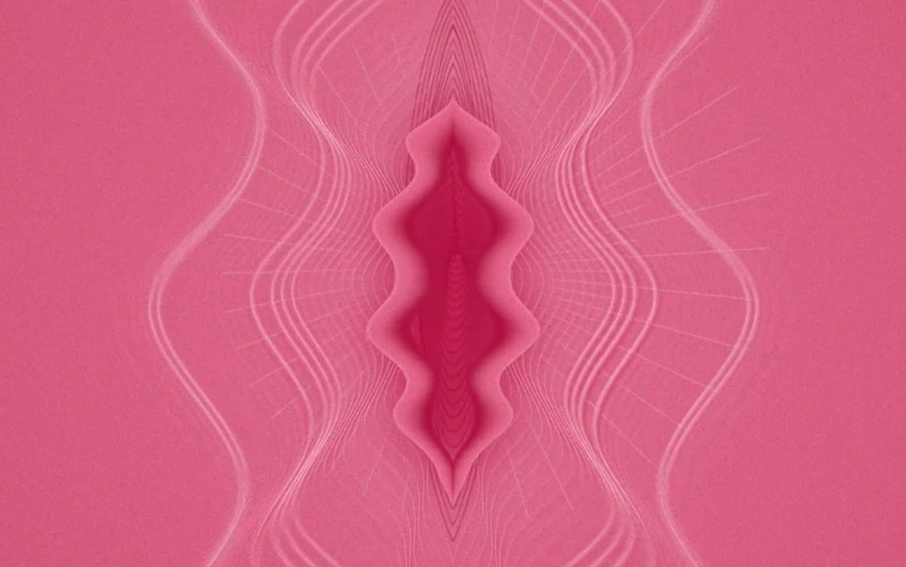 Libresse "Viva La Vulva" cover image