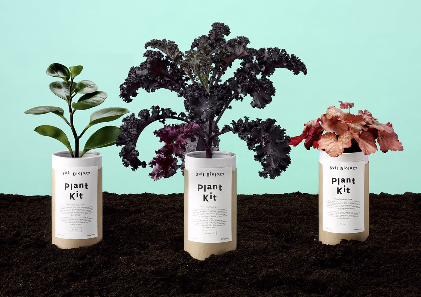 Soil Biology Branding cover image