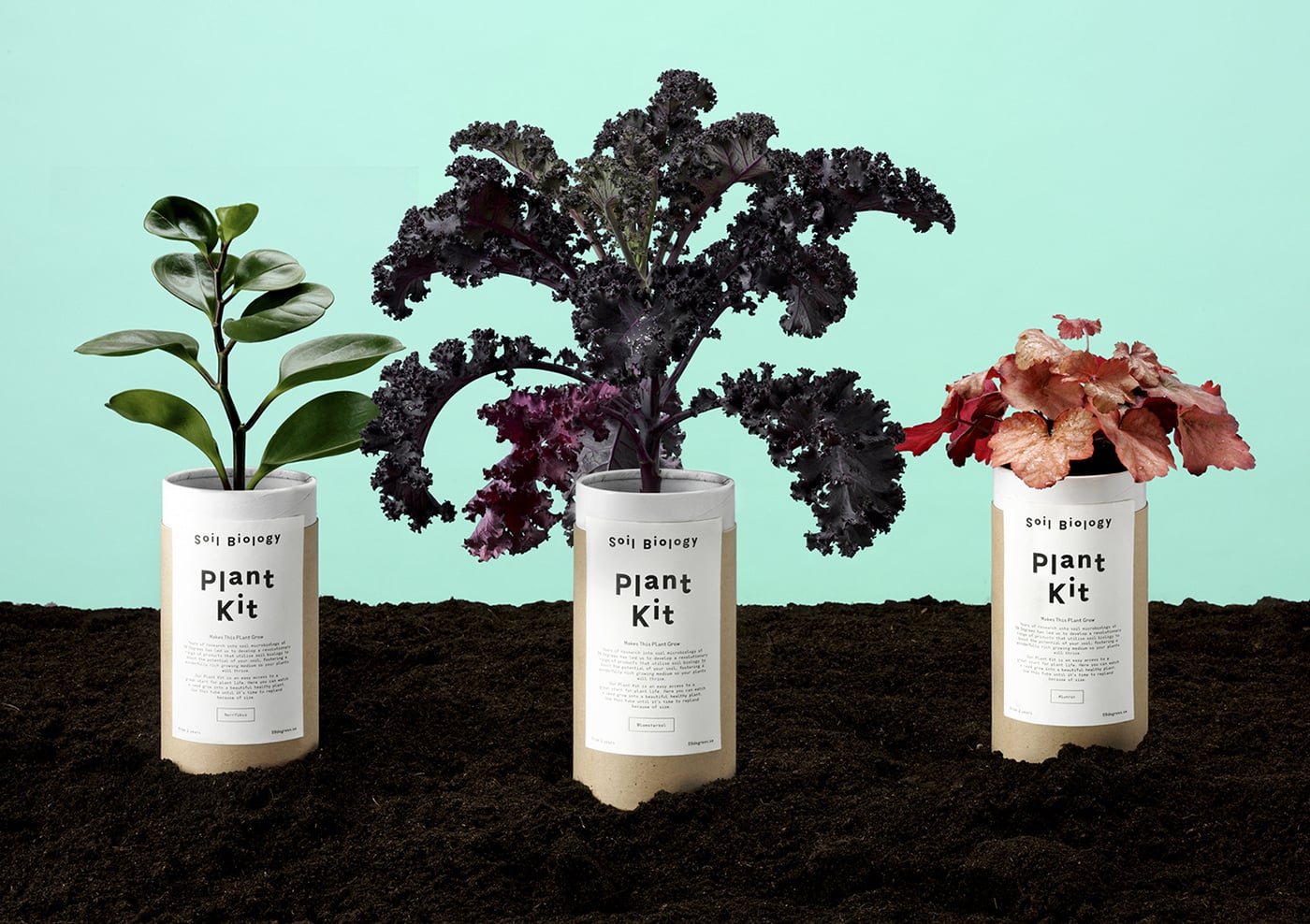 Soil Biology Branding cover image