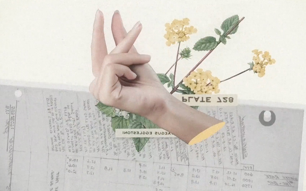 Welcome to Field cover image