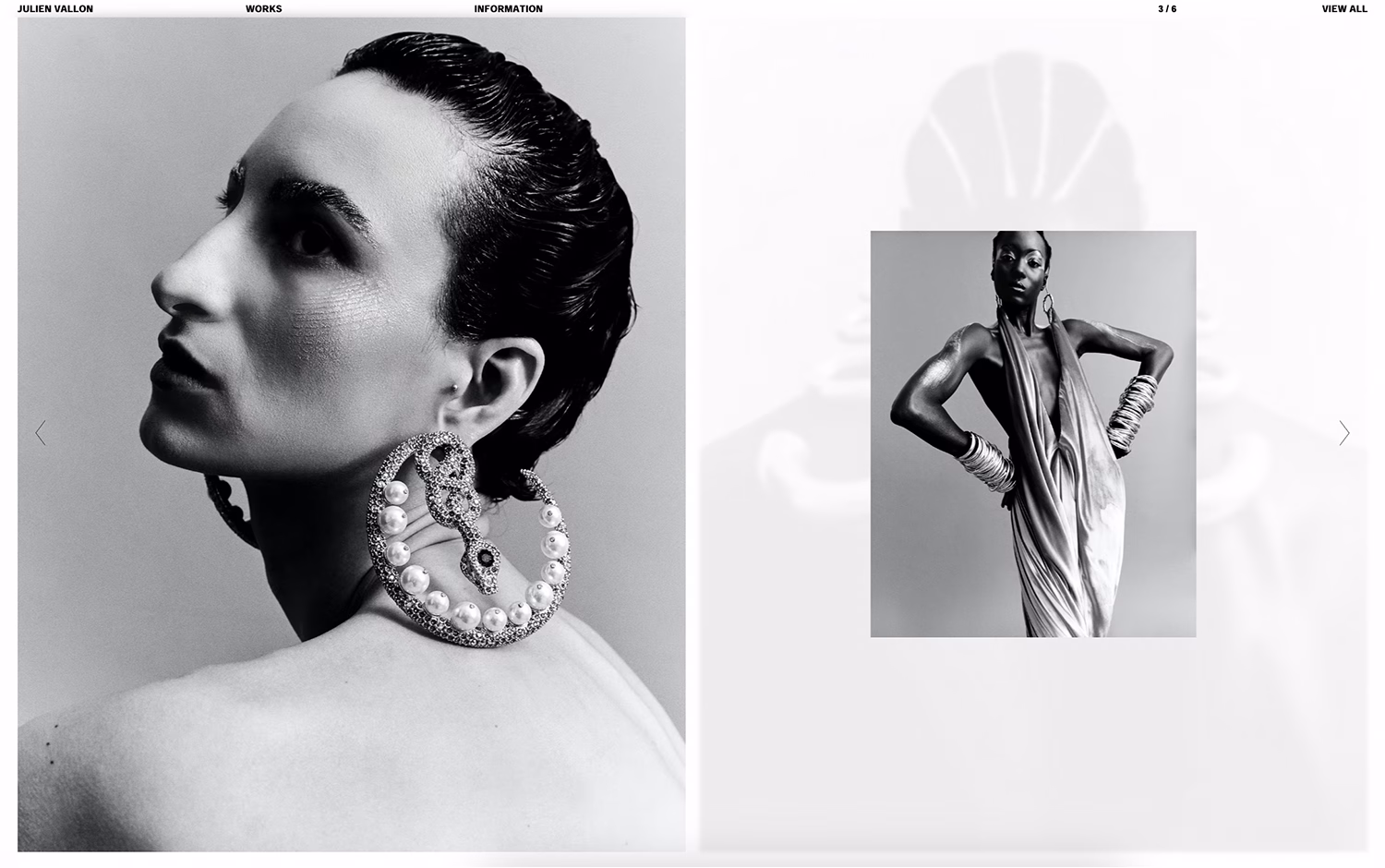 Julien Vallon cover image