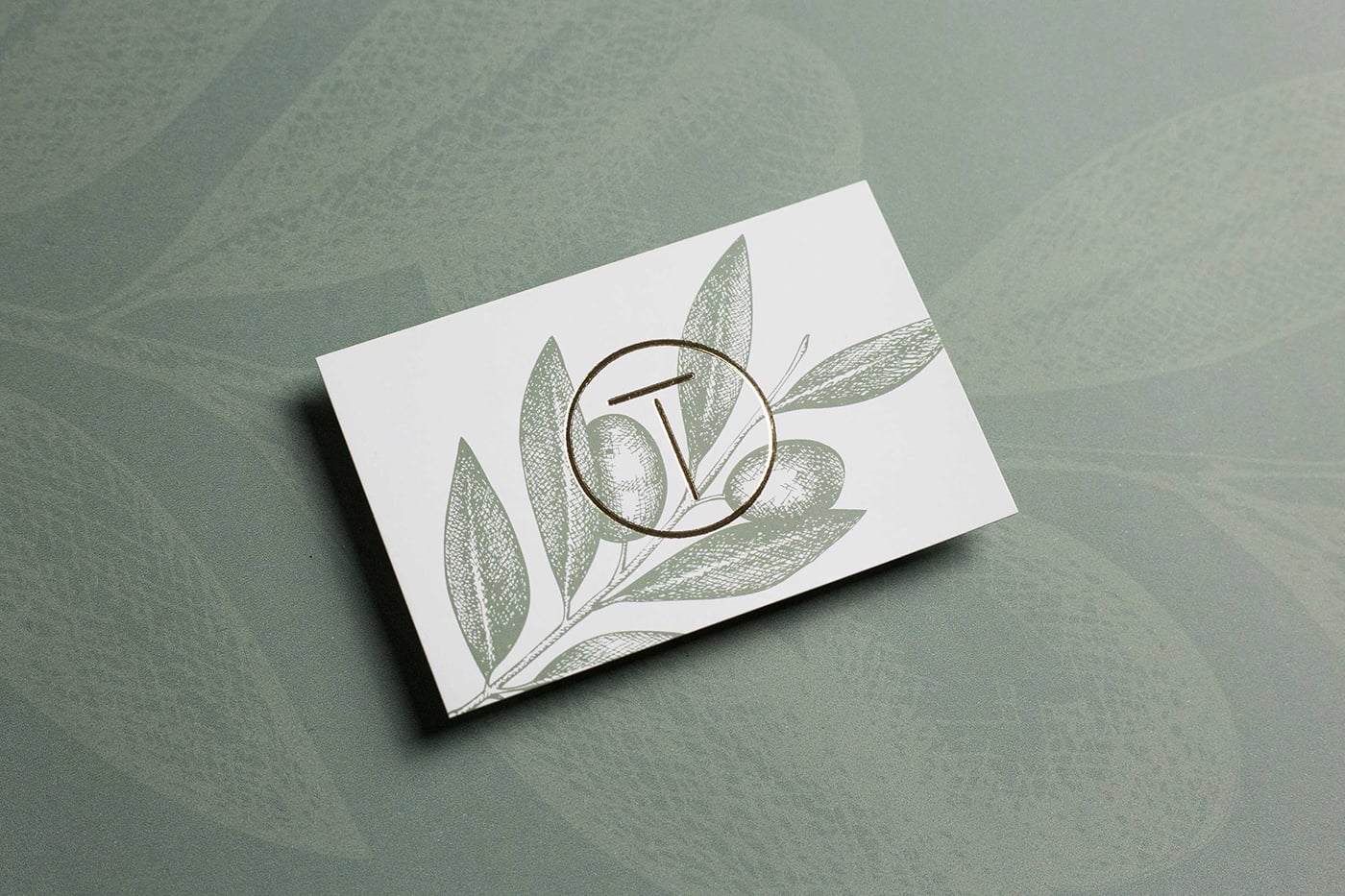 Dr. Theano Tolgou Identity cover image