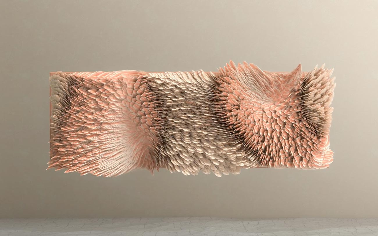 Brief Festival Announcement cover image