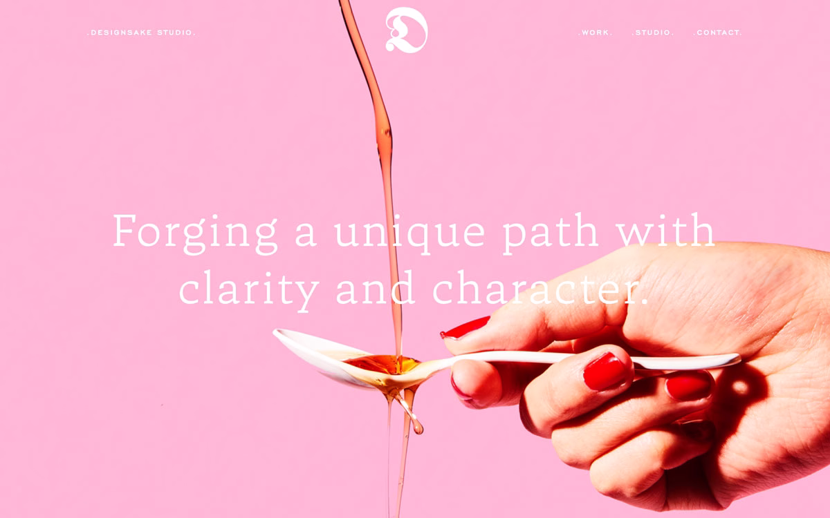 Designsake Studio cover image