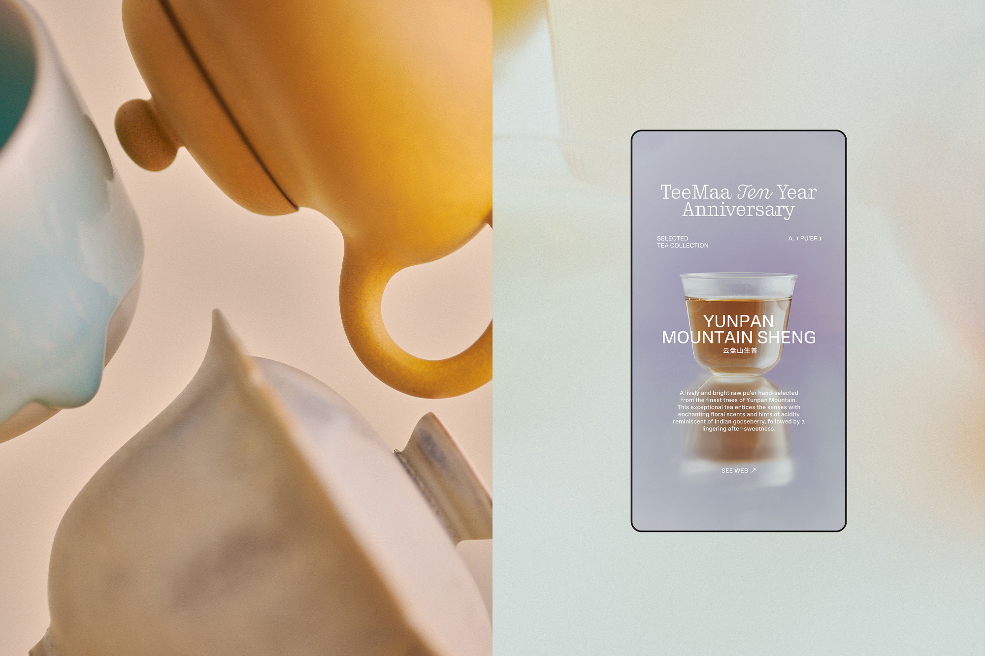TeeMaa 10-Year Anniversary cover image