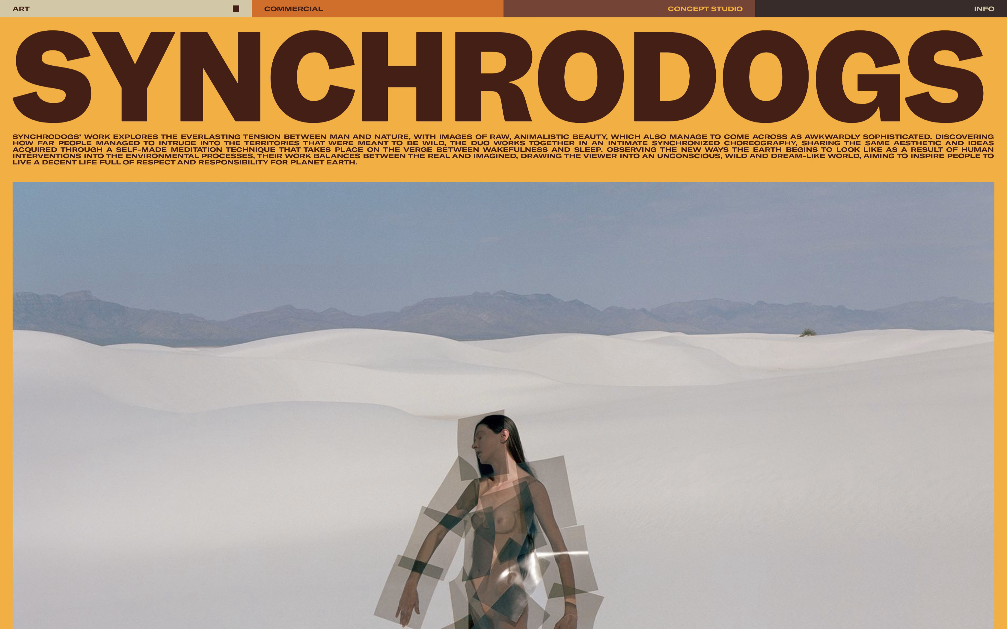 Synchrodogs cover image