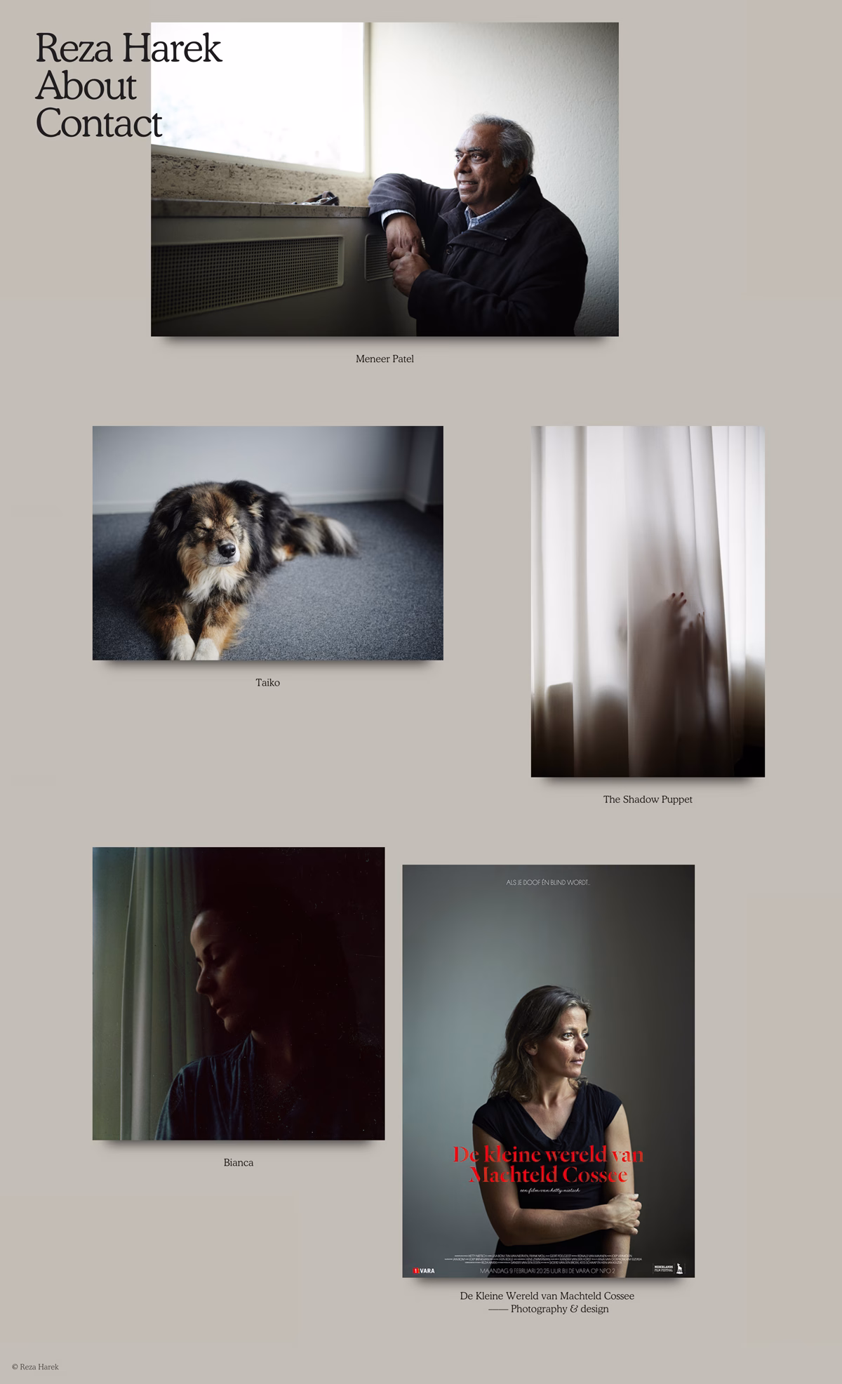 Reza Harek cover image