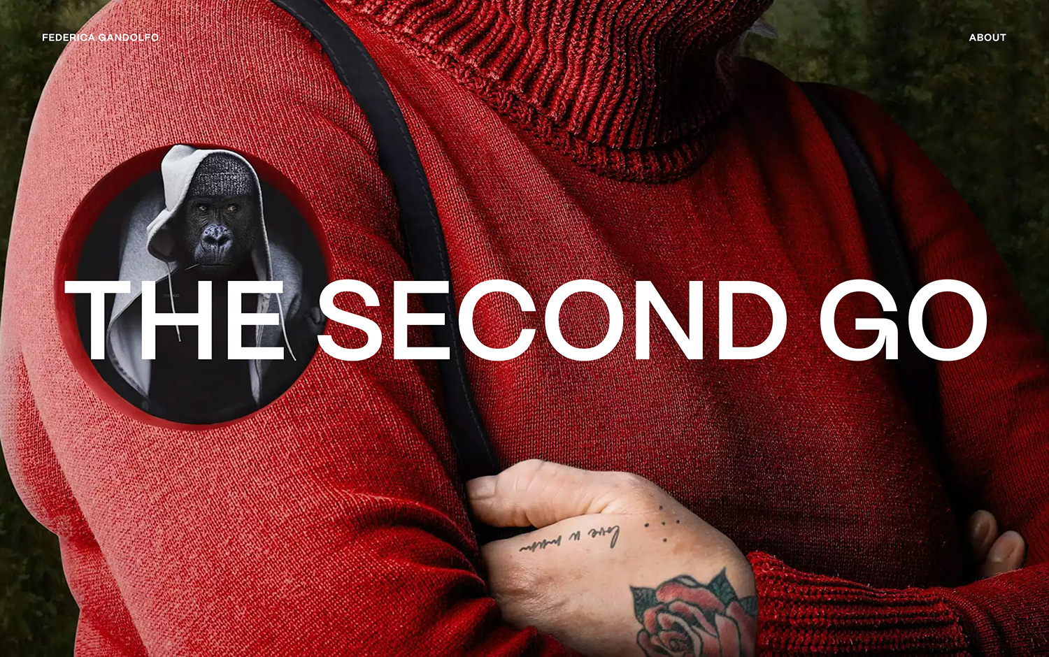 Federica Gandolfo — Portfolio cover image