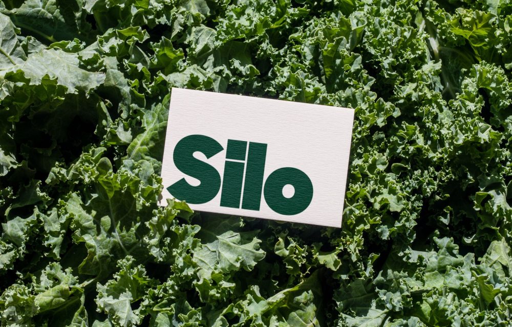 Silo rebrand, rebrand, Goldfront, food logistics solution, one among many, Food Intelligence, Adaptive Food Platform, brand, identity system, website, logotype, bold, brand system, color palette, photography, Ux, Ui, illustration